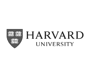 Journey to Top Global Universities