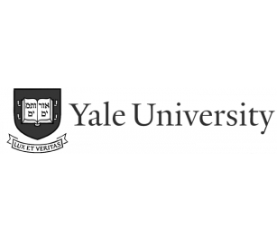Journey to Top Global Universities