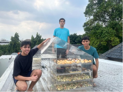 Renewfeed Rooftop